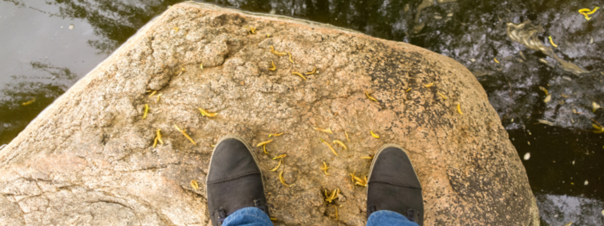 Latest News*Read weekly news update*CLICK HERE