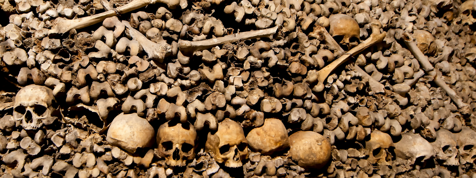 Latest News*Read weekly news update*CLICK HERE