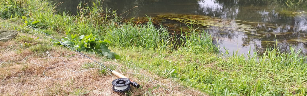 Fishing